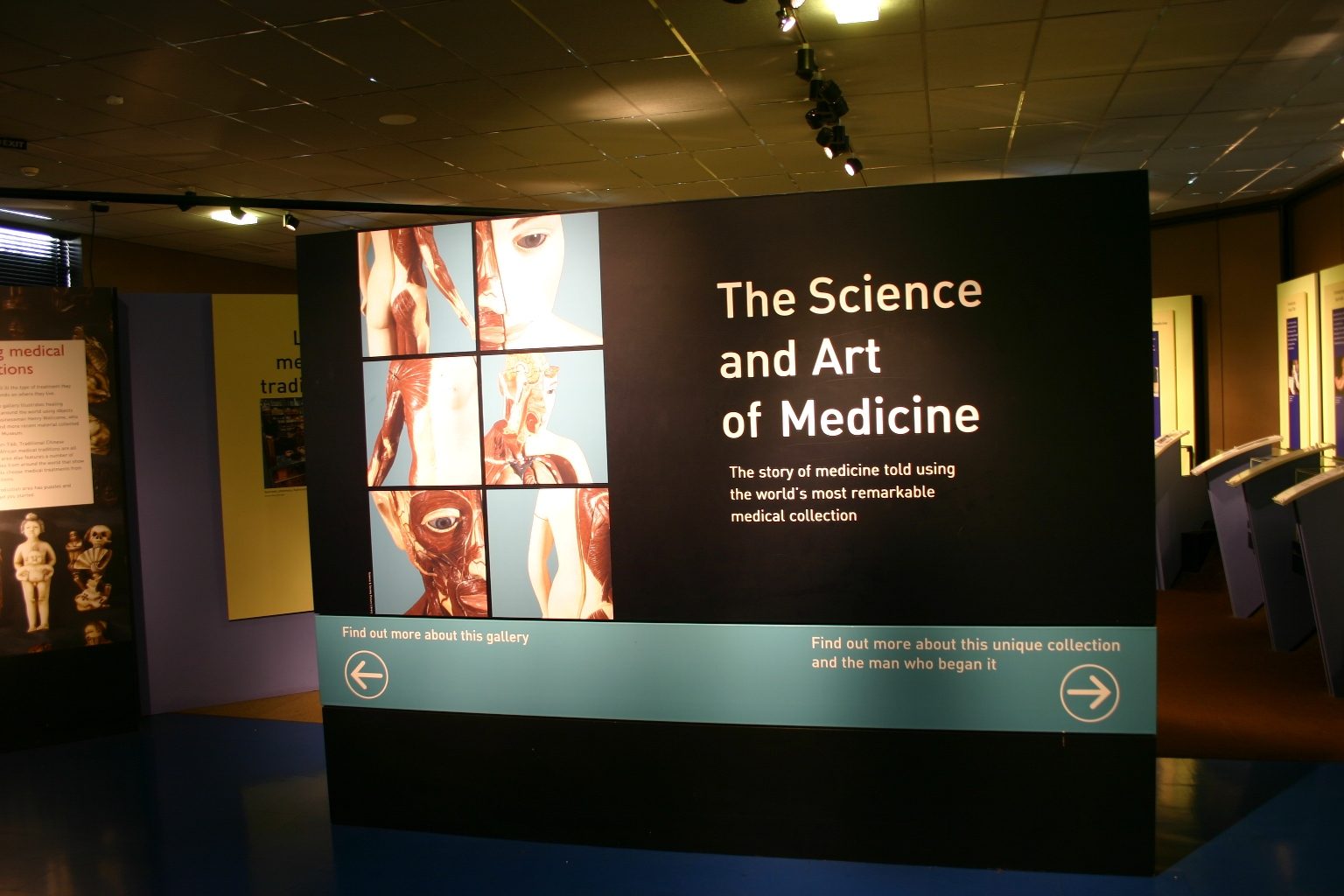 The Science And Art Of Medicine Gallery